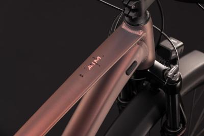 Cube Aim SLX FE rustyrose'n'peach Gr&ouml;&szlig;e: XL Produktbild 1