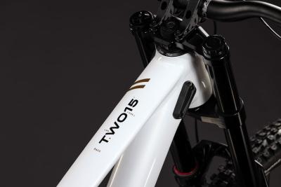 Cube TWO15 Race powdergold'n'black Gr&ouml;&szlig;e: M Produktbild 2