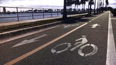 Trek Allant+ 6 Stagger M Galactic Grey 800 Produktbild 2