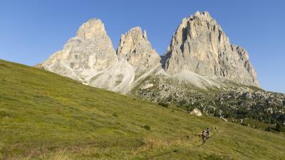 Trek Powerfly+ 6 EU L 29 Lunar Silver/Mercury Produktbild 4