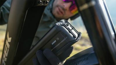 Trek Powerfly+ 8 EU L 29 Satin Lunar Silver/Bronze Age Produktbild 6