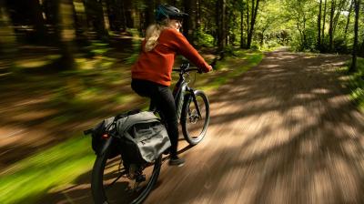 Trek Powerfly+ 8 EU L 29 Crimson/Dark Carmine Produktbild 5