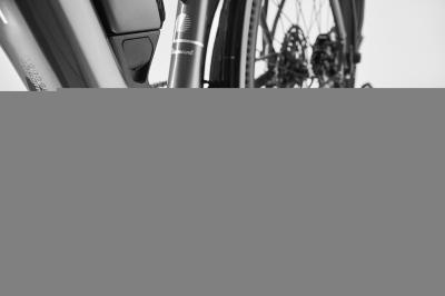 Diamant Zing Trip Core LS M Samtschwarz Metallic 400Wh Produktbild 2